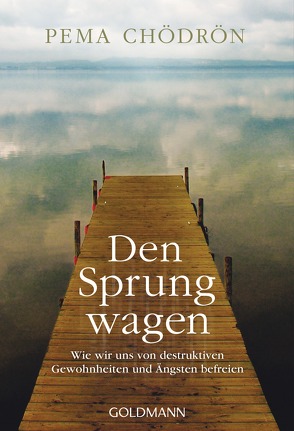 Den Sprung wagen von Chödrön,  Pema, Randow-Tesch,  Margarethe