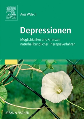 Depressionen von Welsch,  Anja