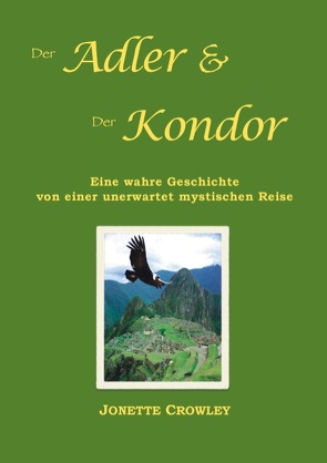 Der Adler und der Kondor von Crowley,  Jonette