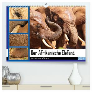 Der Afrikanische Elefant – Loxodonta africana (hochwertiger Premium Wandkalender 2024 DIN A2 quer), Kunstdruck in Hochglanz von Fraatz,  Barbara