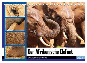 Der Afrikanische Elefant – Loxodonta africana (Tischkalender 2024 DIN A5 quer), CALVENDO Monatskalender von Fraatz,  Barbara