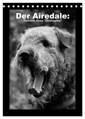 Der Airedale: Portraits eines „Dickkopfes“ (Tischkalender 2024 DIN A5 hoch), CALVENDO Monatskalender von Rottmann,  Gaby