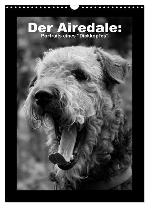 Der Airedale: Portraits eines „Dickkopfes“ (Wandkalender 2024 DIN A3 hoch), CALVENDO Monatskalender von Rottmann,  Gaby