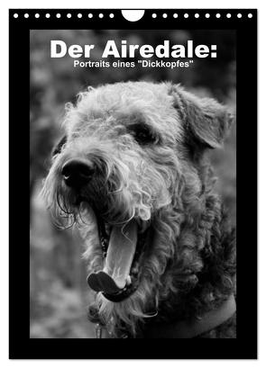 Der Airedale: Portraits eines „Dickkopfes“ (Wandkalender 2024 DIN A4 hoch), CALVENDO Monatskalender von Rottmann,  Gaby