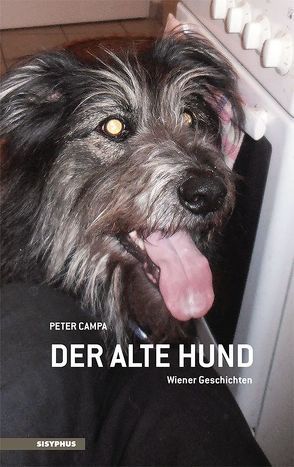 Der alte Hund von Campa,  Peter