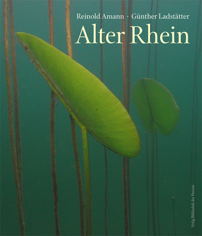 Alter Rhein von Amann,  Reinold, Ladstätter,  Günther