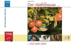 Der Apfelbaum und seine Gäste von Rüther,  Peter
