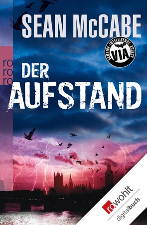 Der Aufstand von McCabe,  Sean, Peters,  Joachim