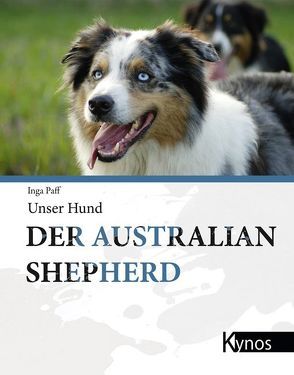 Der Australian Shepherd von Paff,  Inga