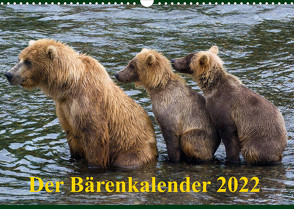 Der Bärenkalender 2022 CH-Version (Wandkalender 2022 DIN A3 quer) von Steinwald,  Max