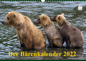 Der Bärenkalender 2022 (Wandkalender 2022 DIN A3 quer) von Steinwald,  Max