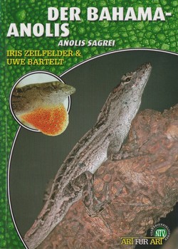 Der Bahama-Anolis von Bartelt,  Uwe, Zeilfelder,  Iris