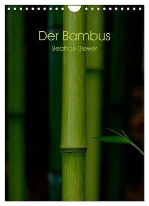 Der Bambus (Wandkalender 2024 DIN A4 hoch), CALVENDO Monatskalender von Biewer,  Beatrice