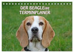 DER BEAGLEige TERMINPLANER (Tischkalender 2024 DIN A5 quer), CALVENDO Monatskalender von Lindert-Rottke,  Antje