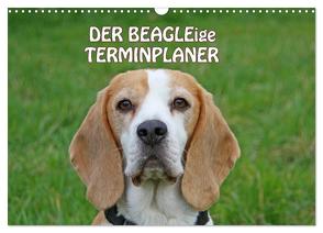 DER BEAGLEige TERMINPLANER (Wandkalender 2024 DIN A3 quer), CALVENDO Monatskalender von Lindert-Rottke,  Antje