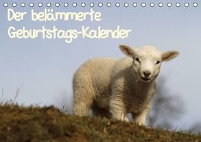 Der belämmerte Geburtstags-Kalender (Tischkalender immerwährend DIN A5 quer) von Lindert-Rottke,  Antje