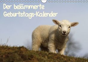 Der belämmerte Geburtstags-Kalender (Wandkalender immerwährend DIN A4 quer) von Lindert-Rottke,  Antje