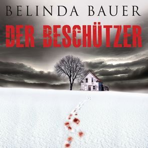 Der Beschützer von Bauer,  Belinda, Bezzenberger,  Marie-Luise, Daub,  Phil