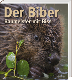 Der Biber von Angst,  Christof, Schmidbauer,  Markus, Schwab,  Gerhard, Zahner,  Volker