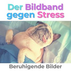 Der Bildband gegen Stress von Hübsch,  Bibi