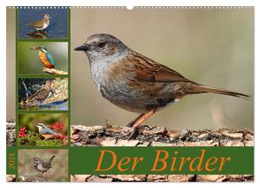 Der Birder (Wandkalender 2024 DIN A2 quer), CALVENDO Monatskalender von Bucher,  Leo