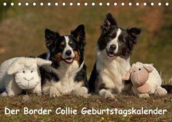 Der Border Collie Geburtstagskalender (Tischkalender immerwährend DIN A5 quer) von Mauersberger,  Tina