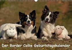 Der Border Collie Geburtstagskalender (Wandkalender immerwährend DIN A3 quer) von Mauersberger,  Tina