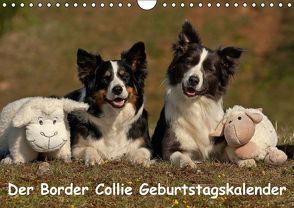 Der Border Collie Geburtstagskalender (Wandkalender immerwährend DIN A4 quer) von Mauersberger,  Tina