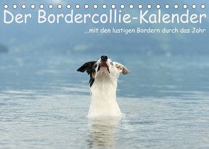 Der Bordercollie-Kalender (Tischkalender 2023 DIN A5 quer) von Köntopp,  Kathrin
