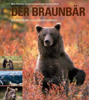 Der Braunbär von Andrea,  Yannick, Höneisen,  Maya, Schoenenberger,  Joanna