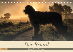 Der Briard 2023 – Ein echter Charmeur (Tischkalender 2023 DIN A5 quer) von Teßen,  Sonja