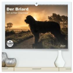 Der Briard 2024 – Ein echter Charmeur (hochwertiger Premium Wandkalender 2024 DIN A2 quer), Kunstdruck in Hochglanz von Teßen,  Sonja