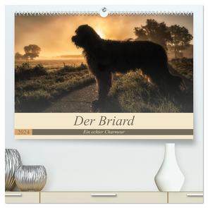 Der Briard 2024 – Ein echter Charmeur (hochwertiger Premium Wandkalender 2024 DIN A2 quer), Kunstdruck in Hochglanz von Teßen,  Sonja