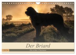 Der Briard 2024 – Ein echter Charmeur (Wandkalender 2024 DIN A4 quer), CALVENDO Monatskalender von Teßen,  Sonja