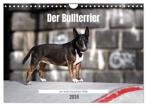 Der Bullterrier der beste Hund der Welt (Wandkalender 2024 DIN A4 quer), CALVENDO Monatskalender von Janetzek,  Yvonne