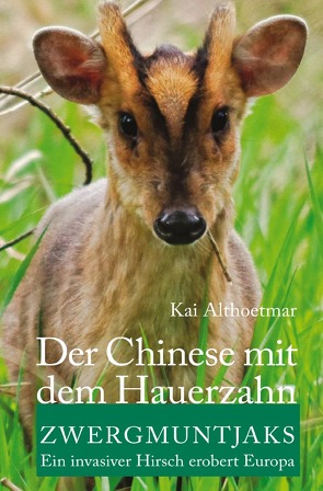 Der Chinese mit dem Hauerzahn von Althoetmar,  Kai