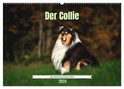 Der Collie der beste Hund der Welt (Wandkalender 2024 DIN A2 quer), CALVENDO Monatskalender von Janetzek,  Yvonne