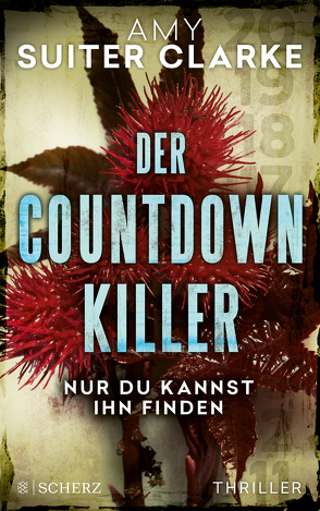 Der Countdown-Killer – Nur du kannst ihn finden von Schmitz,  Birgit, Suiter Clarke,  Amy