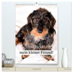 Der Dackel – mein kleiner Freund (hochwertiger Premium Wandkalender 2024 DIN A2 hoch), Kunstdruck in Hochglanz von Kuhr,  Susann