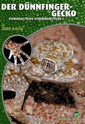 Der Dünnfingergecko von Rauh,  Jens