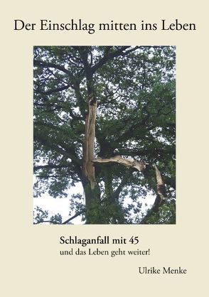 Der Einschlag mitten ins Leben von Menke,  Ulrike