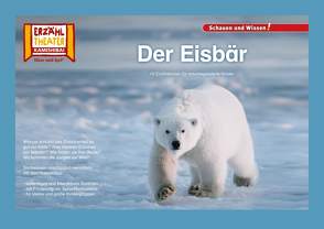 Der Eisbär / Kamishibai Bildkarten