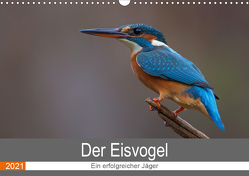 Der Eisvogel – Ein erfolgreicher Jäger (Wandkalender 2021 DIN A3 quer) von Dürre,  Wiking