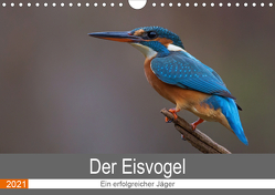 Der Eisvogel – Ein erfolgreicher Jäger (Wandkalender 2021 DIN A4 quer) von Dürre,  Wiking