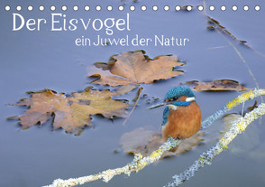 Der Eisvogel, ein Juwel der Natur (Tischkalender 2024 DIN A5 quer), CALVENDO Monatskalender von Rufotos,  Rufotos