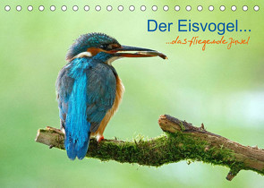 Der Eisvogel…fliegendes Juwel (Tischkalender 2022 DIN A5 quer) von Fuchs,  Mirko