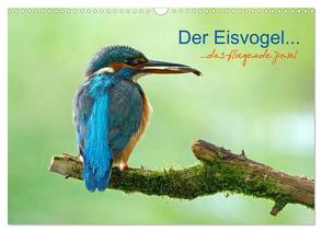 Der Eisvogel…fliegendes Juwel (Wandkalender 2024 DIN A3 quer), CALVENDO Monatskalender von Fuchs,  Mirko