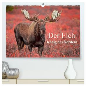 Der Elch – König des Nordens (hochwertiger Premium Wandkalender 2024 DIN A2 quer), Kunstdruck in Hochglanz von Pelzer,  Inken Paletta,  Claudia