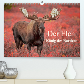 Der Elch – König des Nordens (Premium, hochwertiger DIN A2 Wandkalender 2021, Kunstdruck in Hochglanz) von Paletta (www.finntastic.de),  Inken, Pelzer / www.Pelzer-Photography.com,  Claudia