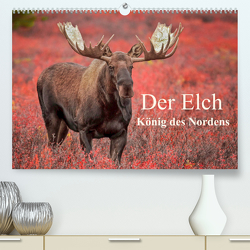 Der Elch – König des Nordens (Premium, hochwertiger DIN A2 Wandkalender 2023, Kunstdruck in Hochglanz) von Paletta,  Inken, Pelzer,  Claudia